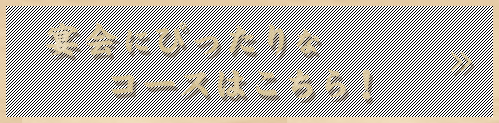 宴会にぴったりなコースはこちら！